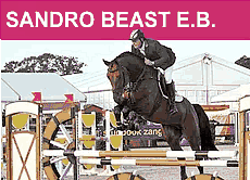 Sandro Beast E.B. fedezőmén